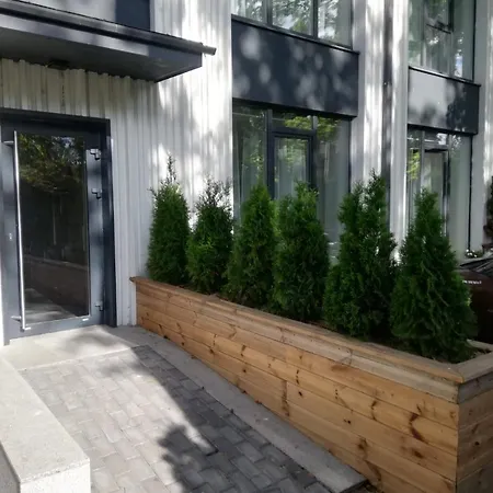 New Big Loft With Free Secured Parking Apartment