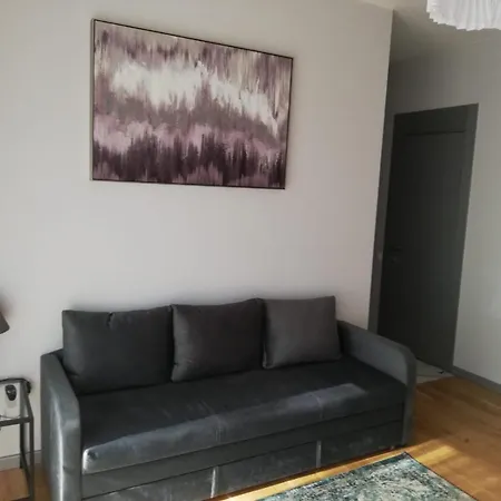 New Big Loft With Free Secured Parking Apartment