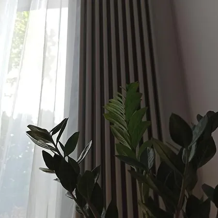 New Big Loft With Free Secured Parking Apartment Jurmala